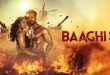 Baaghi 3