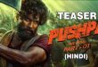 Pushpa The Rise